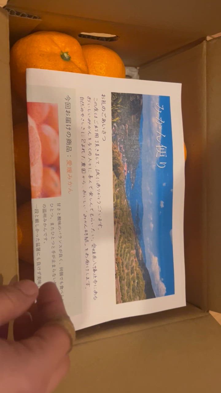 全体のレビュー動画のサムネイル | 10
