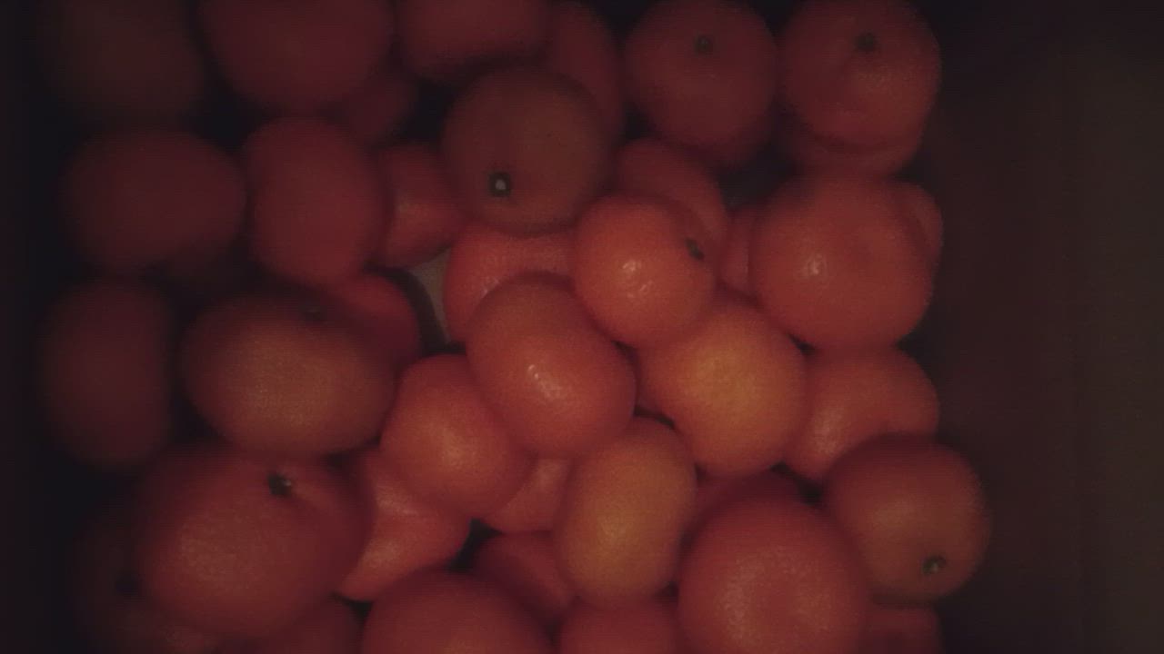 全体のレビュー動画のサムネイル | 8
