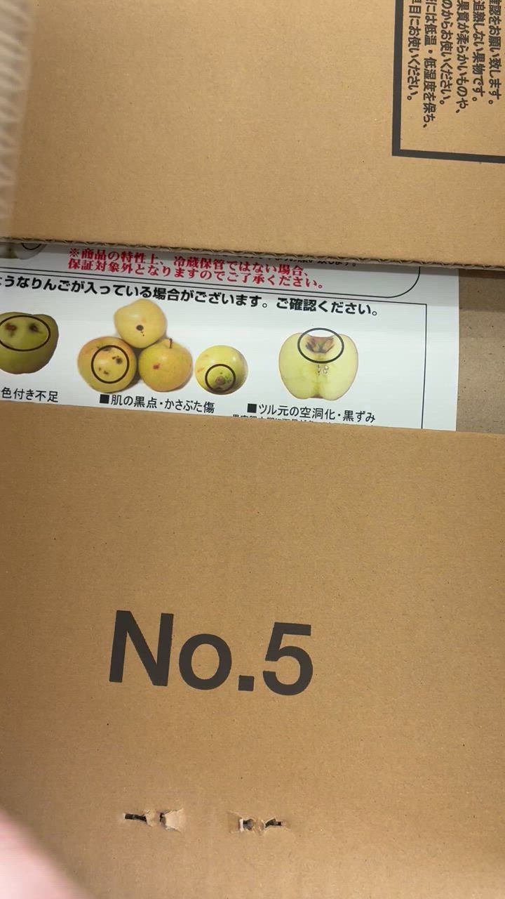 全体のレビュー動画のサムネイル | 0