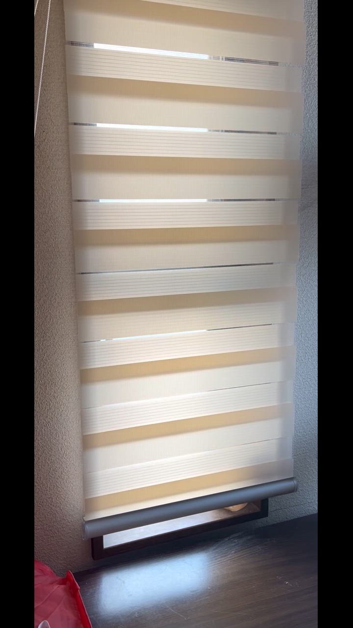 全体のレビュー動画のサムネイル | 1