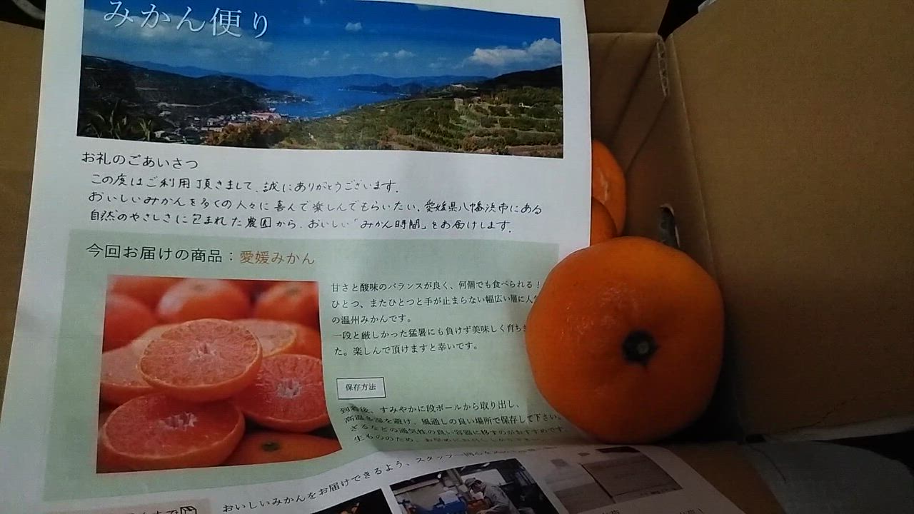 全体のレビュー動画のサムネイル | 8