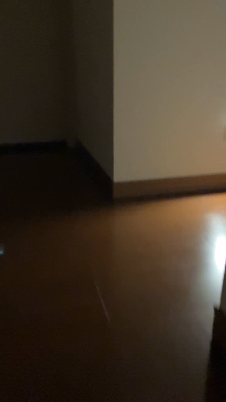 全体のレビュー動画のサムネイル | 5