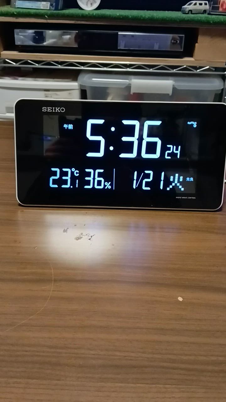SEIKO セイコー(SEIKO) DL208W(ホワイト) シリーズC3 電波 SEIKO セイコー(SEIKO) DL208W(ホワイト) シリーズC3 電波