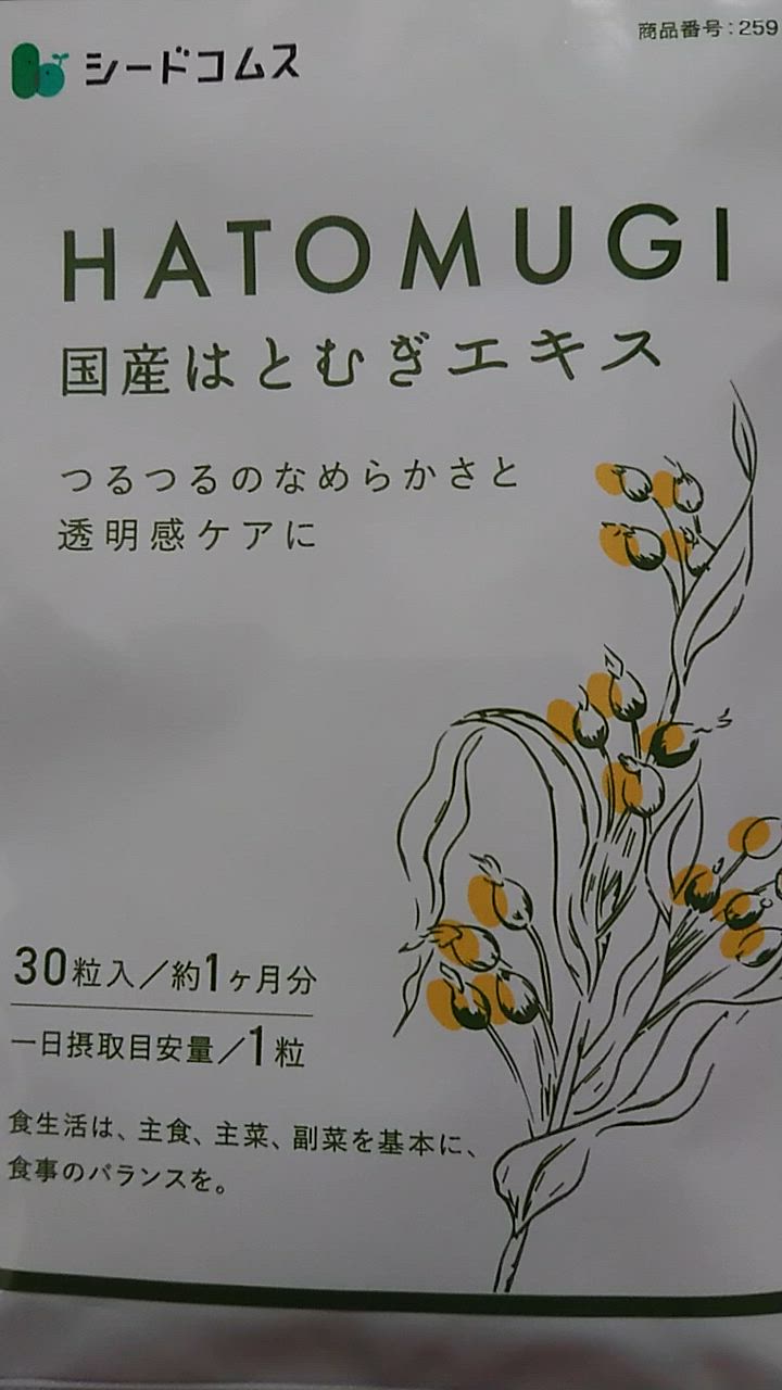 全体のレビュー動画のサムネイル | 2