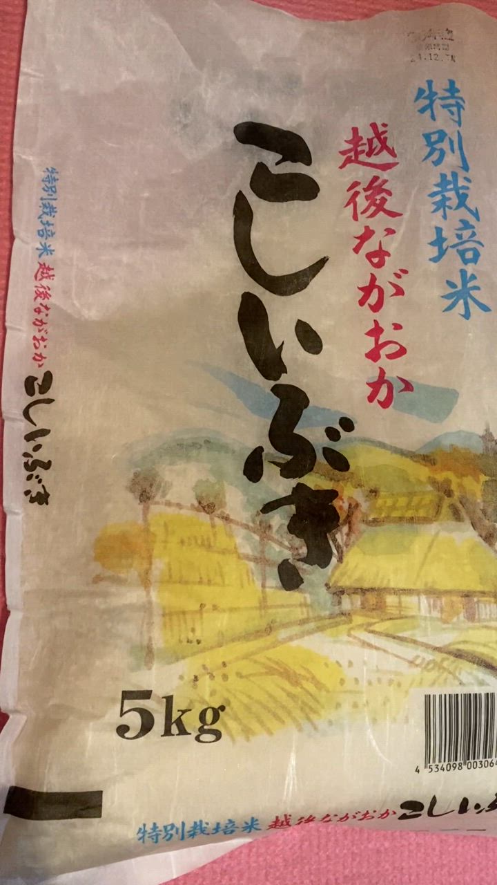 こしいぶき 令和6年産 お米 10kg 白米 特別栽培米 新潟産こし