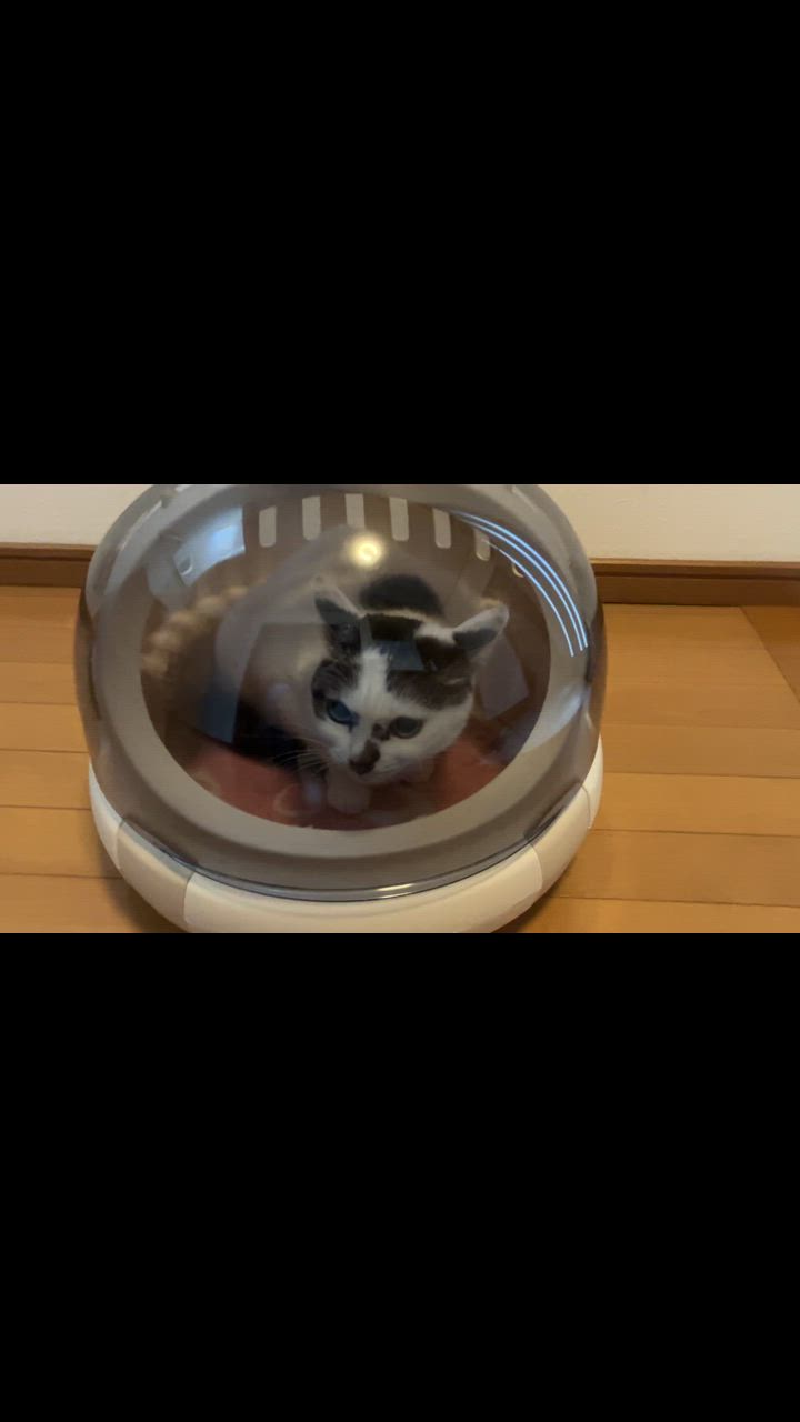 全体のレビュー動画のサムネイル | 1