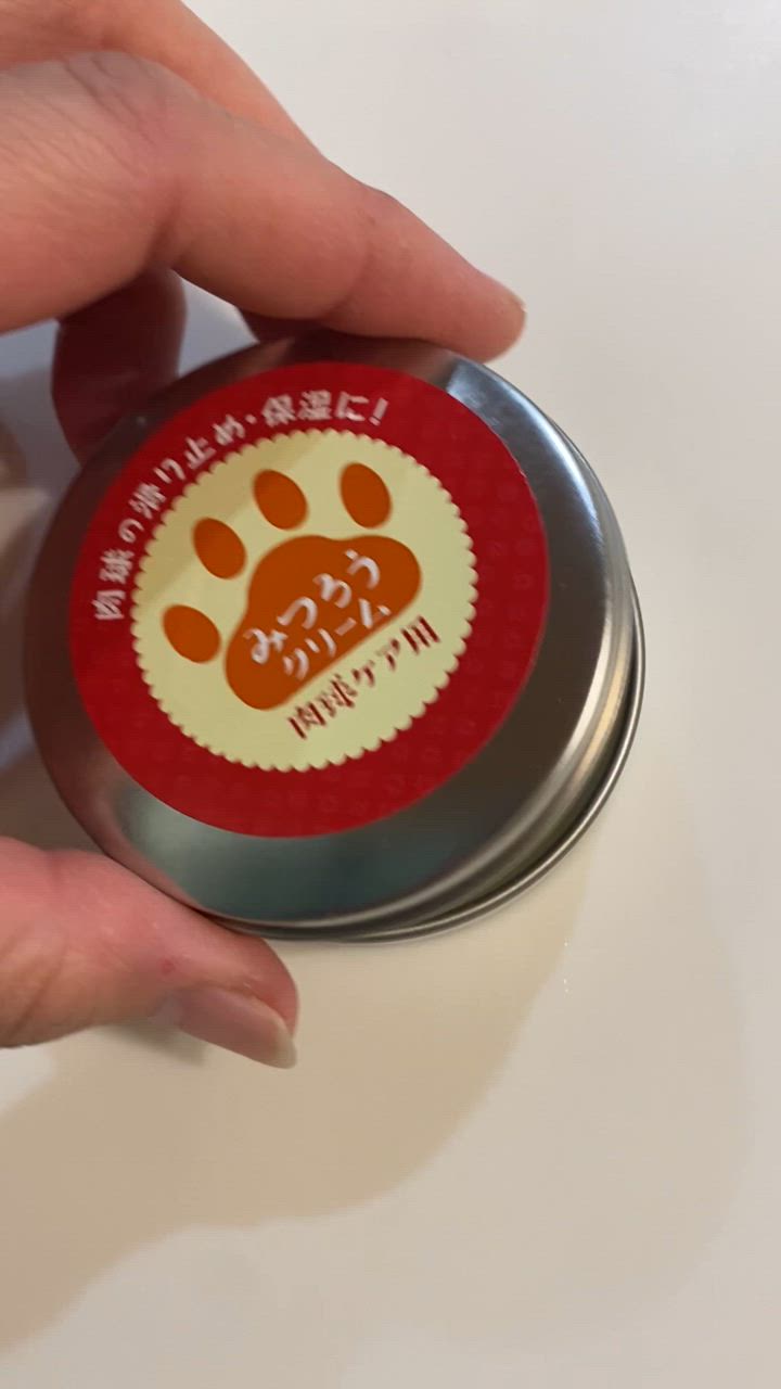 全体のレビュー動画のサムネイル | 5