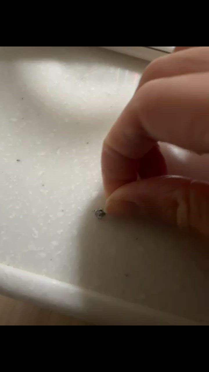 全体のレビュー動画のサムネイル | 0