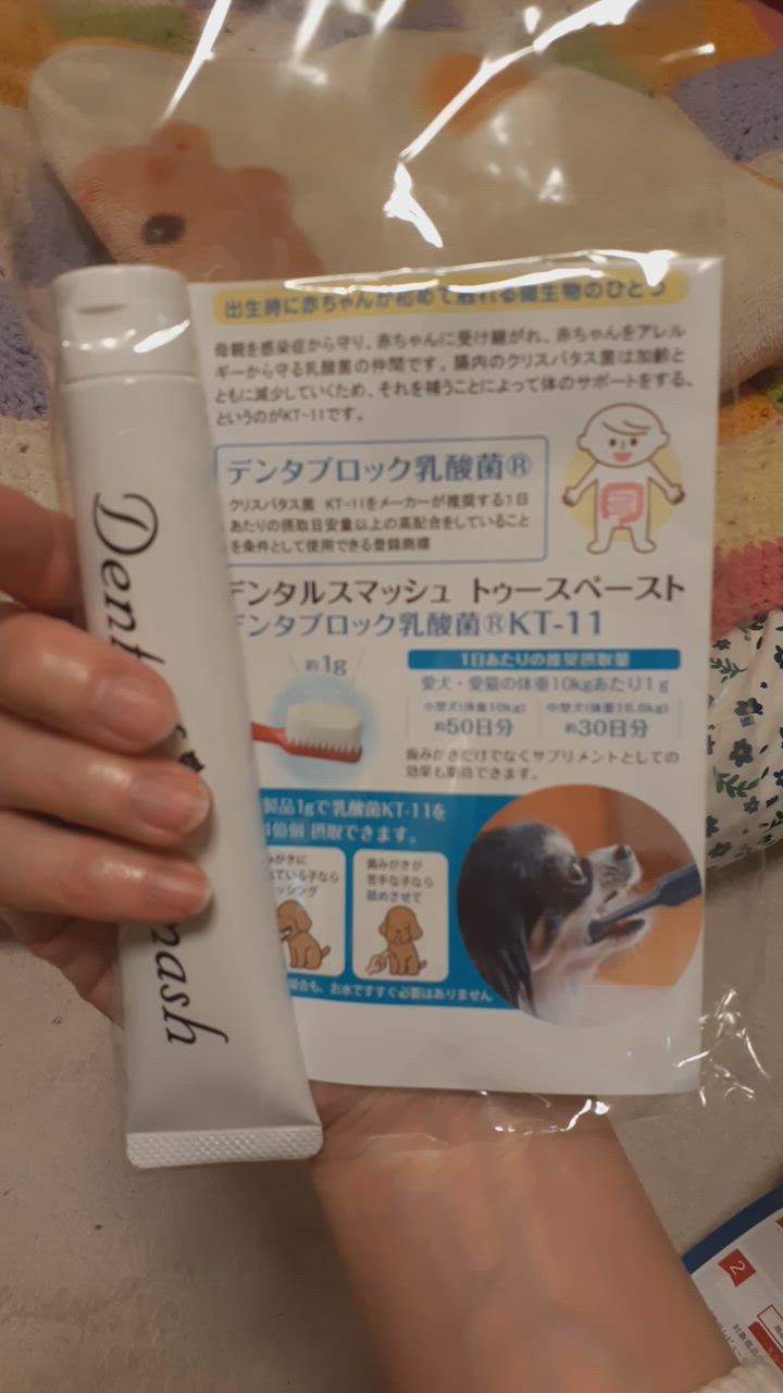 全体のレビュー動画のサムネイル | 2
