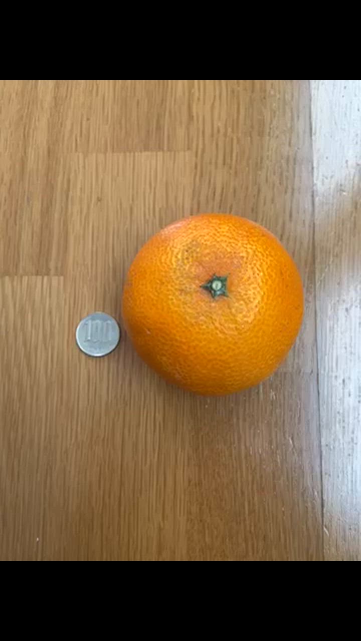 2件目のレビュー動画のサムネイル | 0