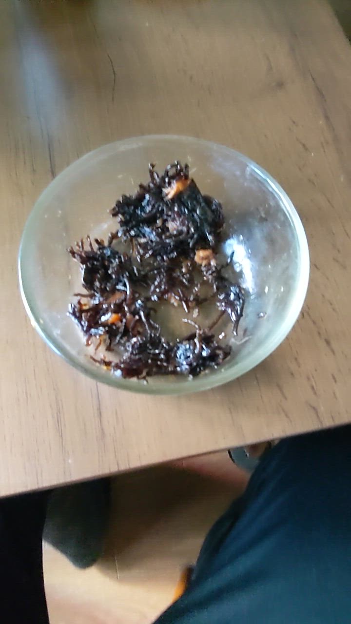 全体のレビュー動画のサムネイル | 1