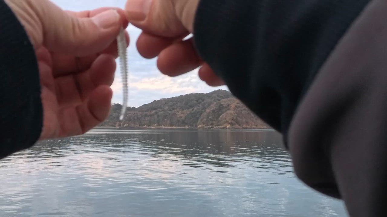 1件目のレビュー動画のサムネイル | 0
