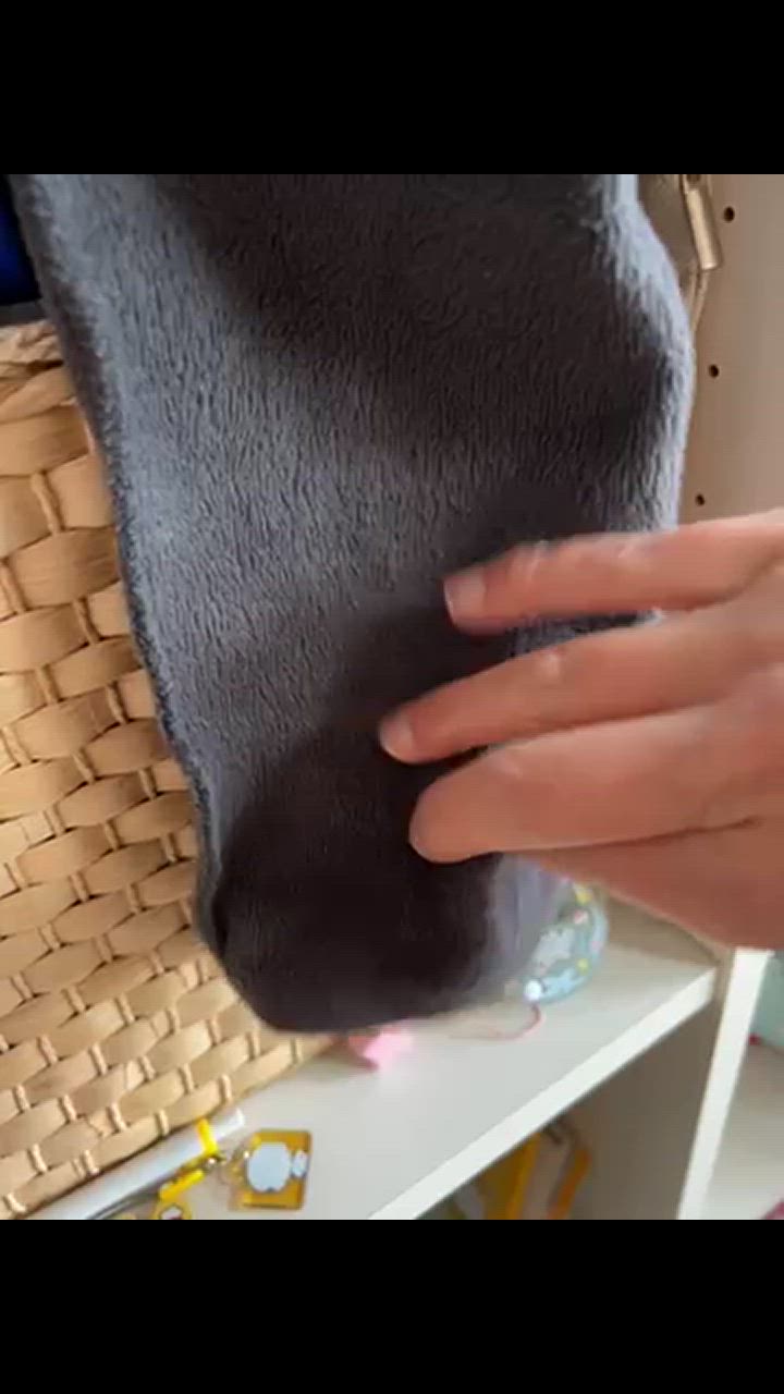 全体のレビュー動画のサムネイル | 0
