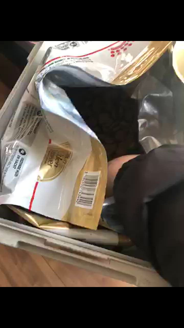 全体のレビュー動画のサムネイル | 0