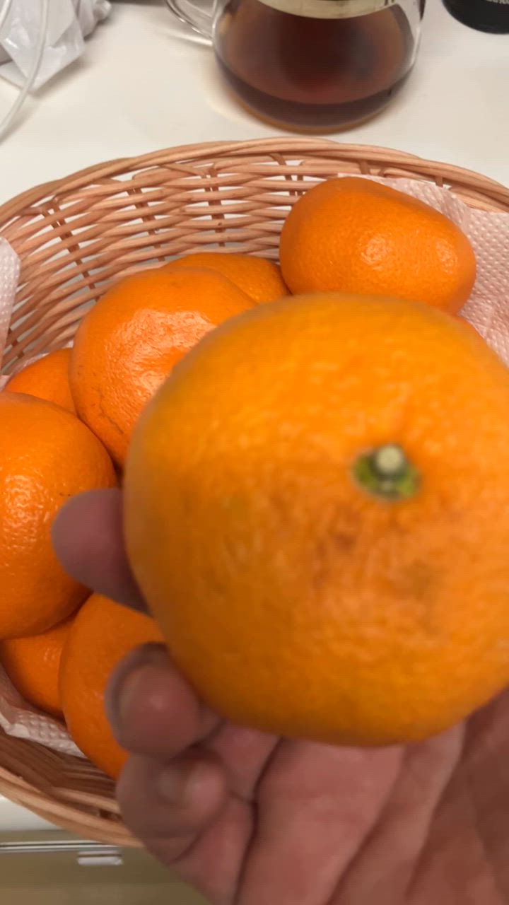 全体のレビュー動画のサムネイル | 0