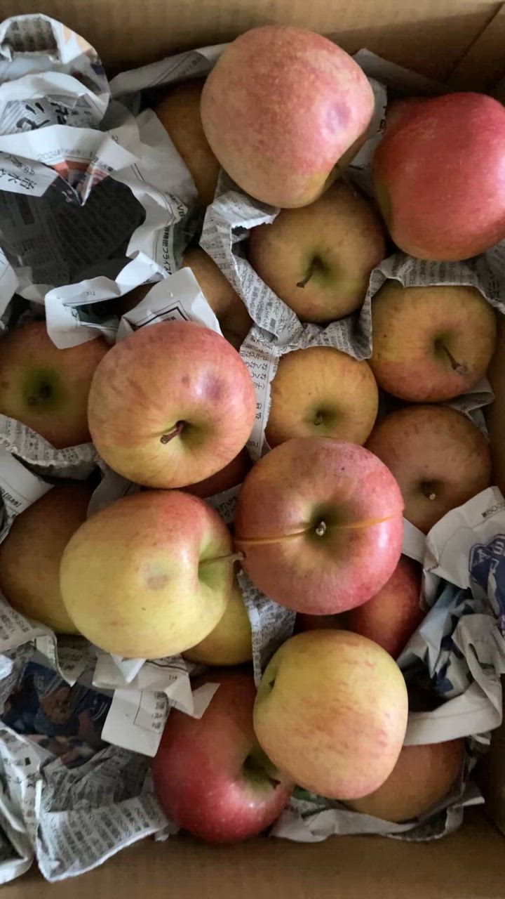 全体のレビュー動画のサムネイル | 0