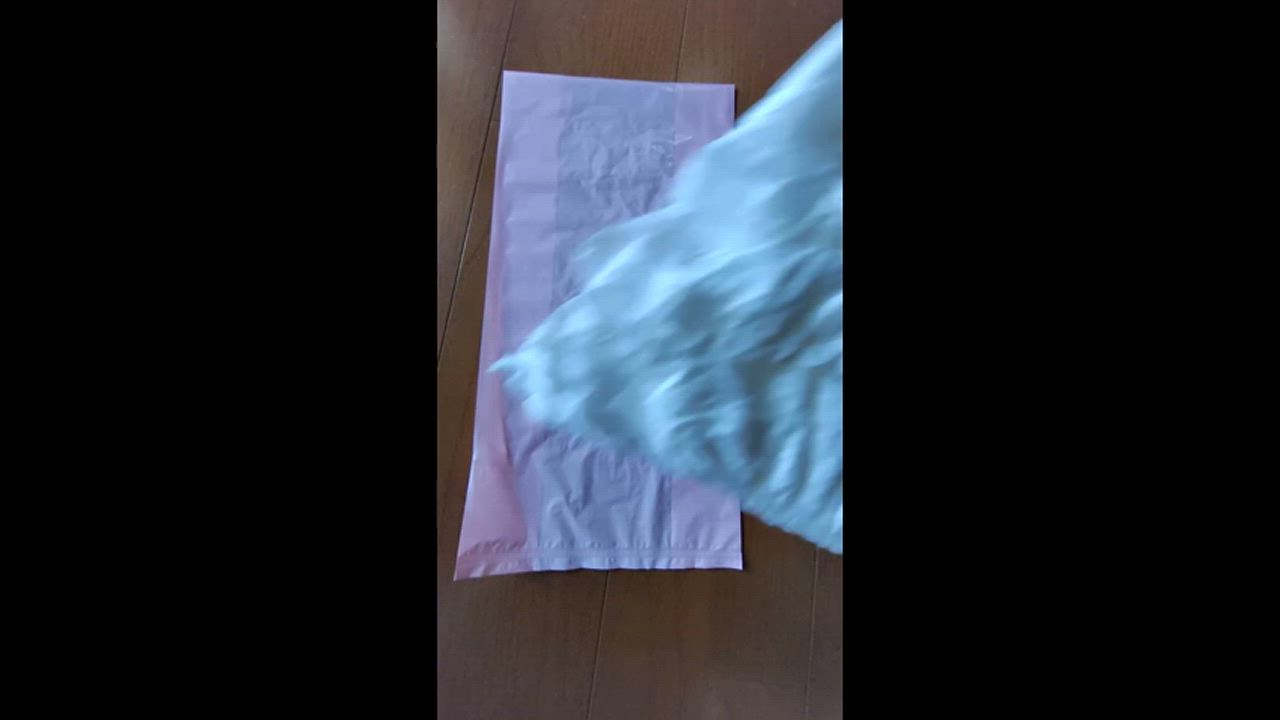 全体のレビュー動画のサムネイル | 2
