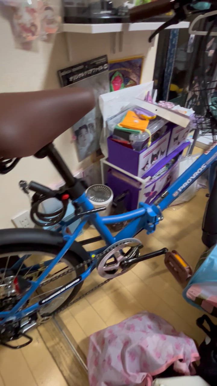 PROVROS 折りたたみ自転車 20インチ シマノ 6段変速ギア 自転車