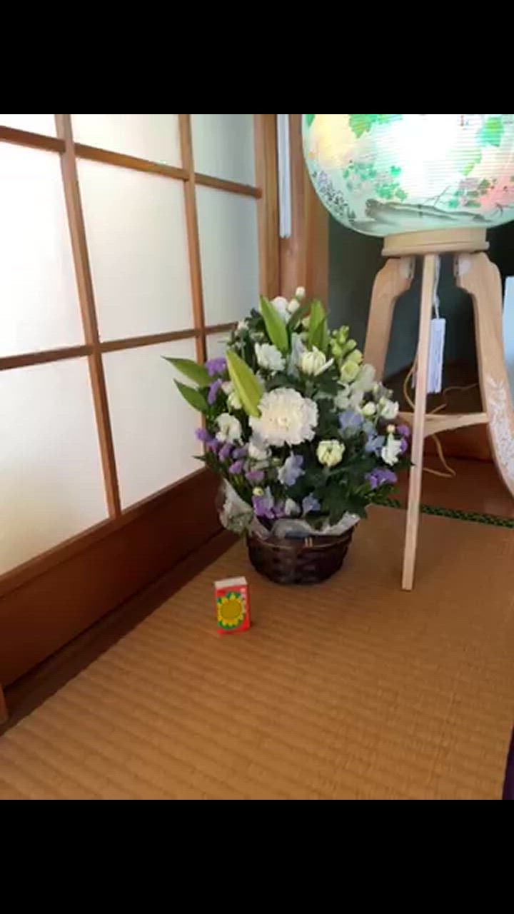 全体のレビュー動画のサムネイル | 0