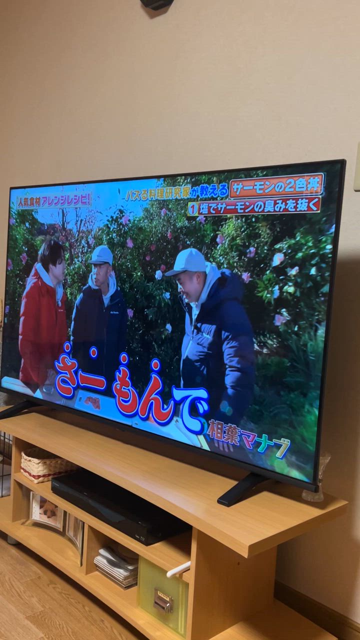 REGZA レグザ 4K液晶TV 55V型 4Kチューナー内蔵 55E350M(宅配