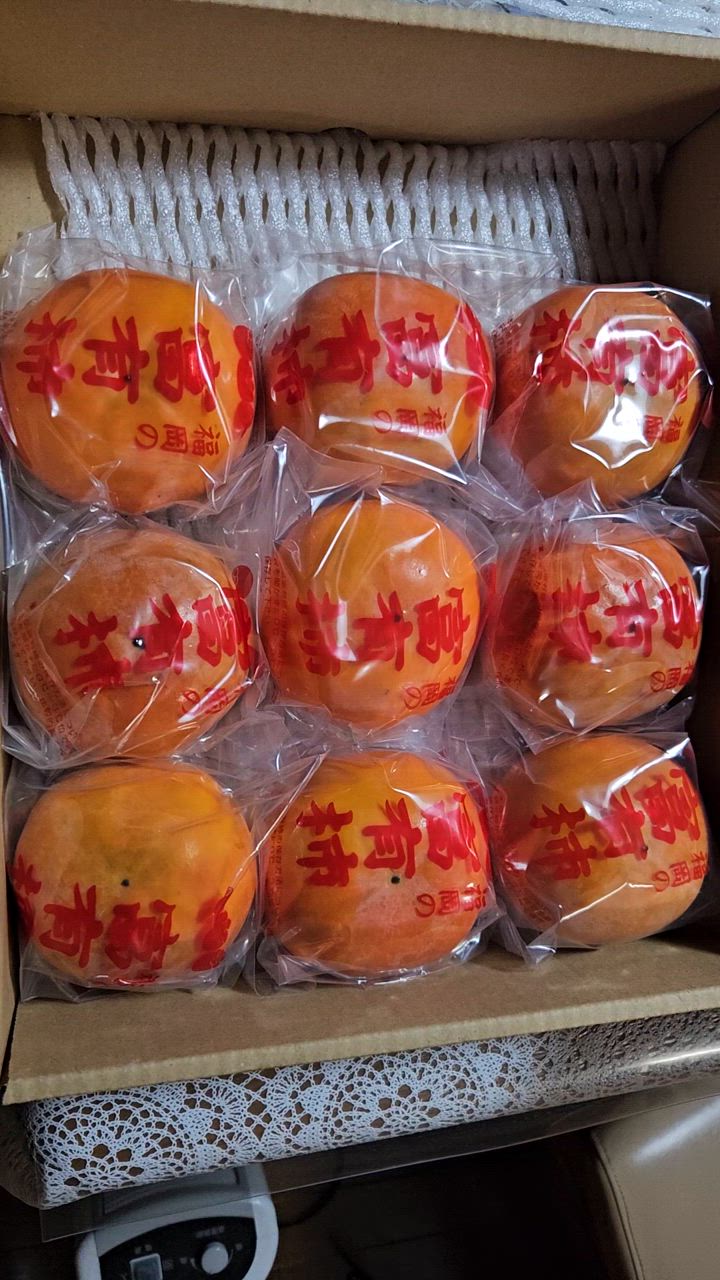 全体のレビュー動画のサムネイル | 0