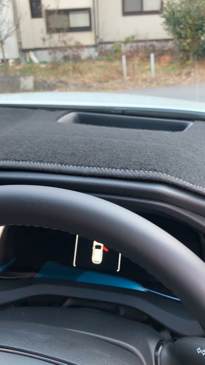 ハリアー 80系 新型 トヨタ Sunland ダッシュボードマット HUD