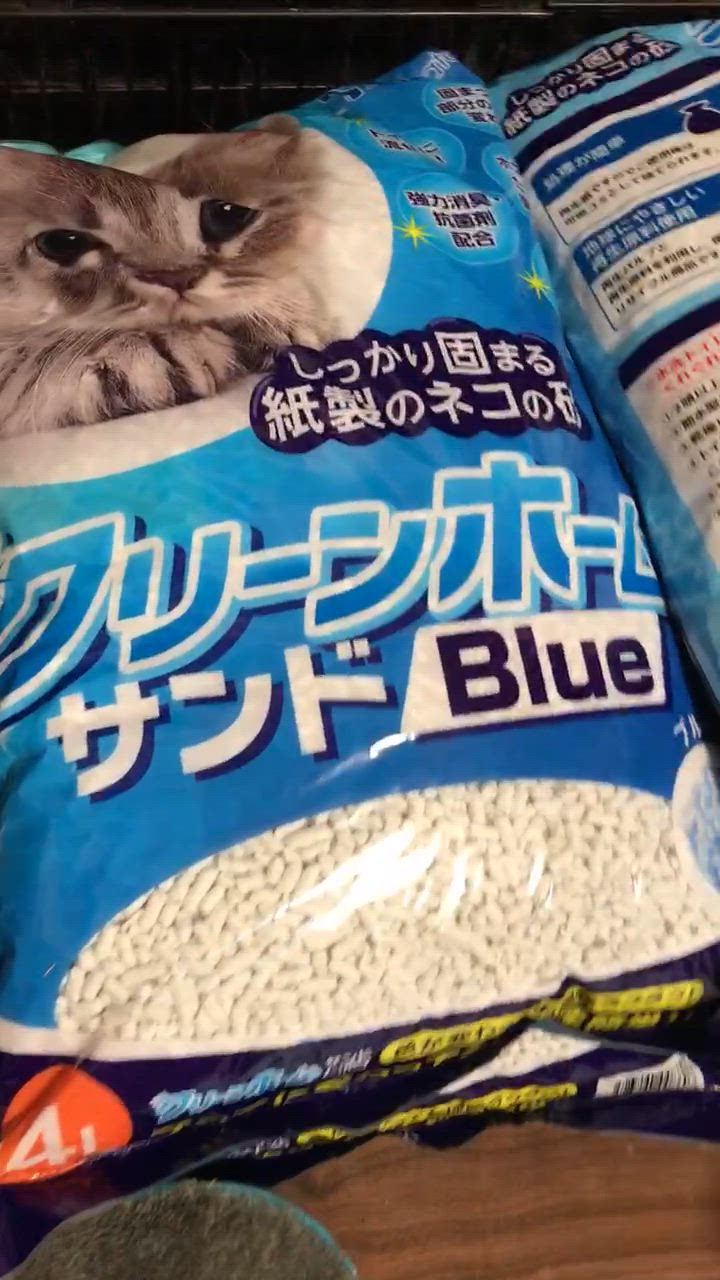 全体のレビュー動画のサムネイル | 6