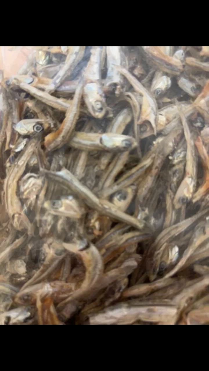 10%OFFクーポン】 小魚 煮干し 食べる煮干し カタクチイワシ 魚 10%OFFクーポン】 小魚 煮干し 食べる煮干し カタクチイワシ 魚