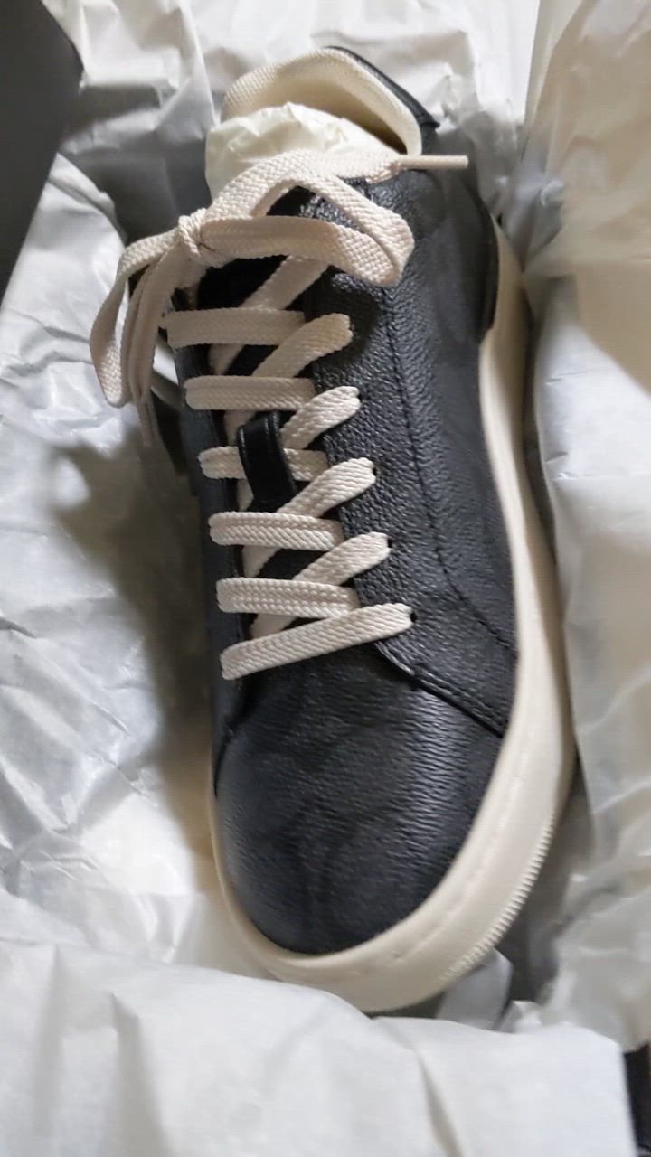 COACH コーチ レディース シューズ 靴 CITYSOLE ローライン