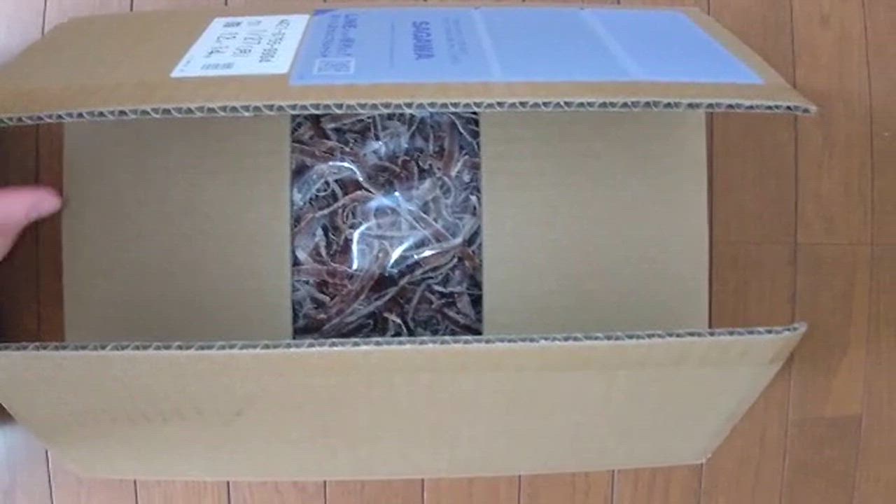 全体のレビュー動画のサムネイル | 17