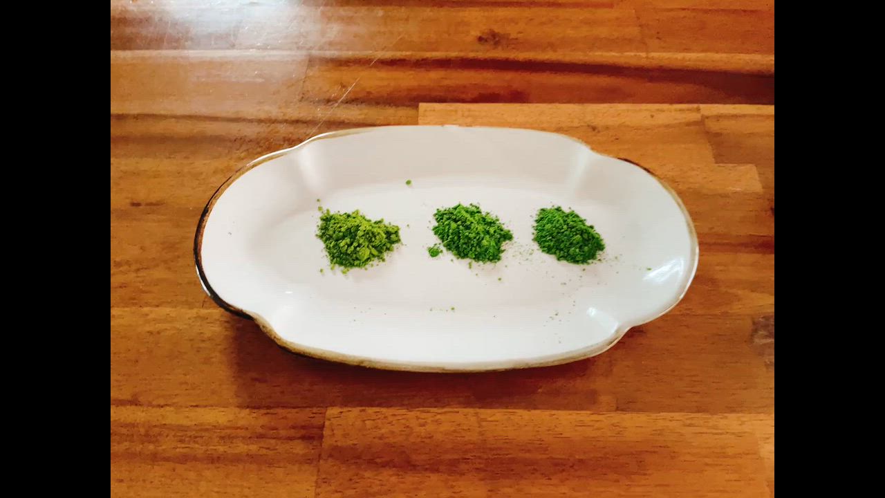 全体のレビュー動画のサムネイル | 0