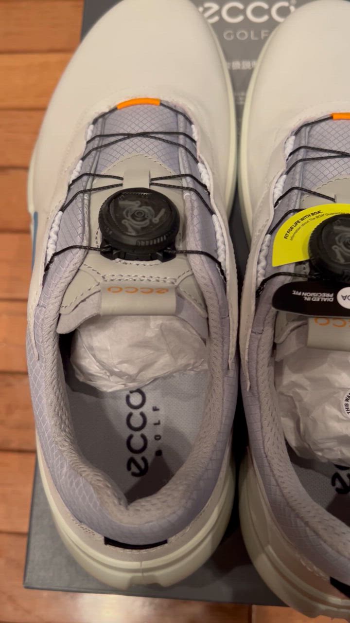 ecco ECCO エコー 日本正規品 BIOM H4 BOA バイオム エイチ