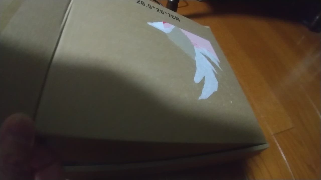 6件目のレビュー動画のサムネイル | 0