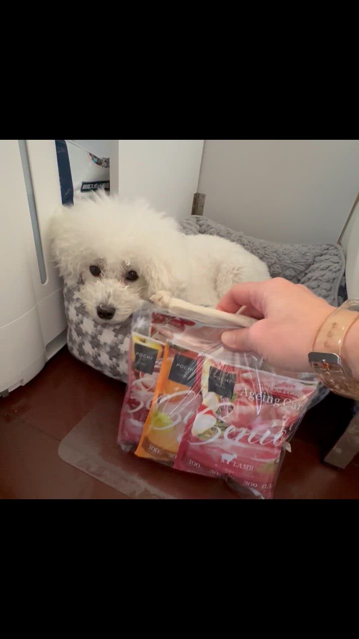 1件目のレビュー動画のサムネイル | 0