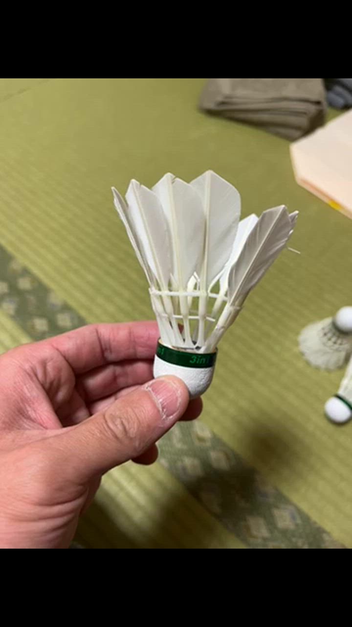 ゴーセンハイブリッドシャトル310廃盤　専用 GOSEN ゴーセン バドミントンシャトル ハイブリッドシャトル310