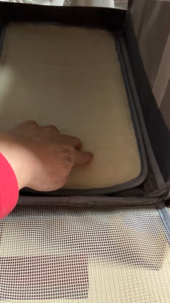 全体のレビュー動画のサムネイル | 0
