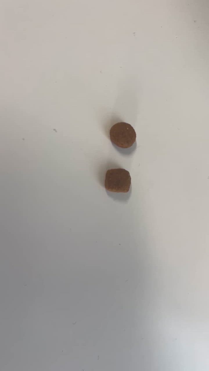 全体のレビュー動画のサムネイル | 12