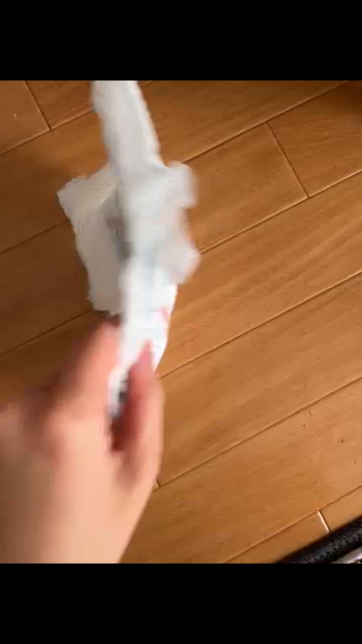 全体のレビュー動画のサムネイル | 12