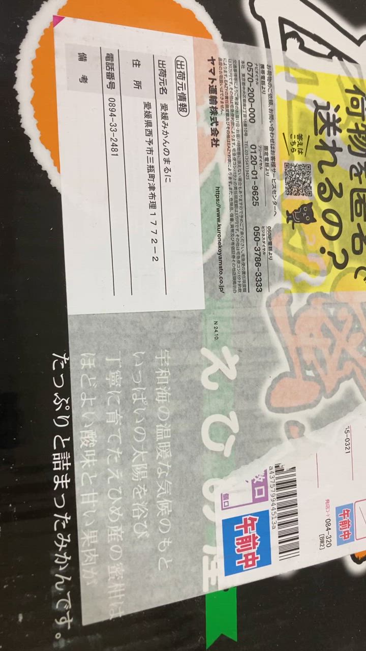 全体のレビュー動画のサムネイル | 2