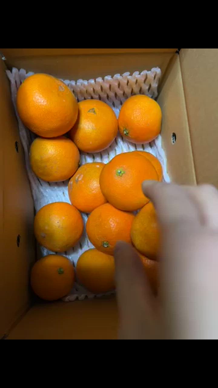 全体のレビュー動画のサムネイル | 5