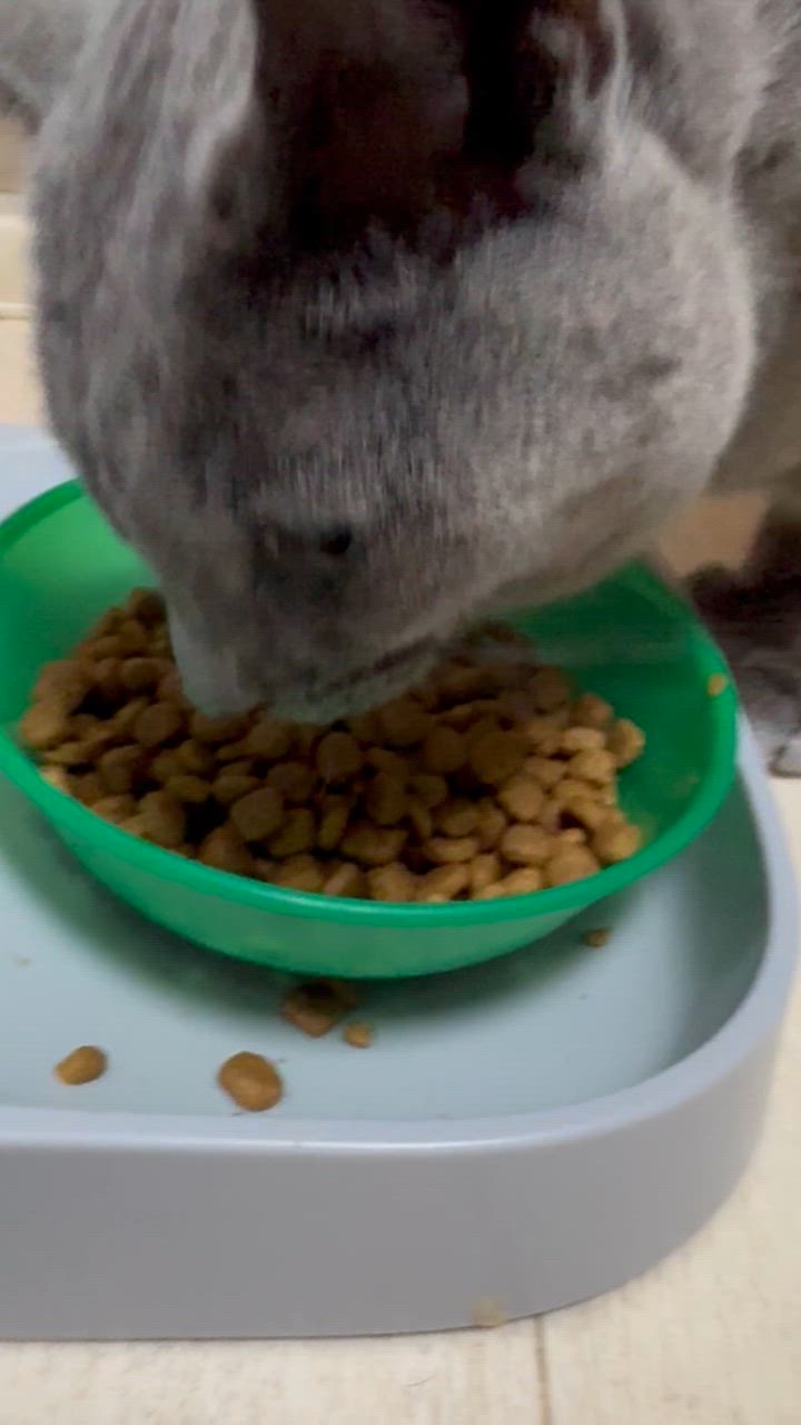 全体のレビュー動画のサムネイル | 11