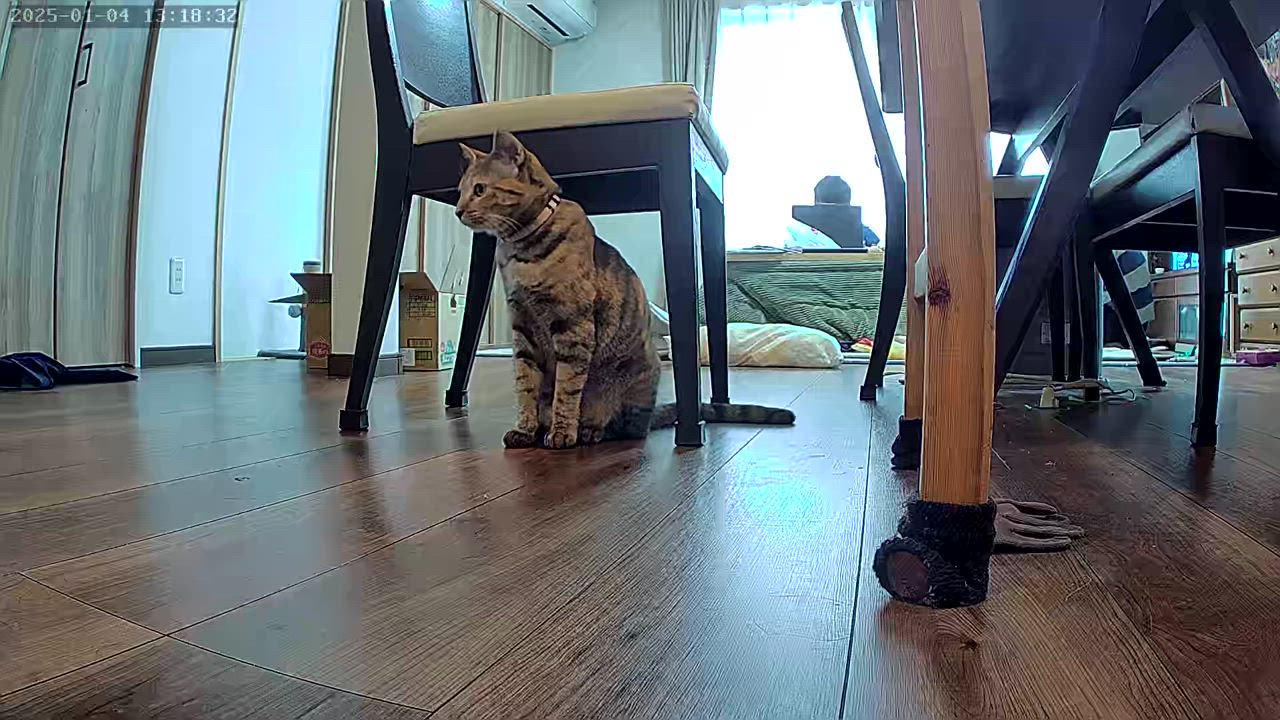 全体のレビュー動画のサムネイル | 0