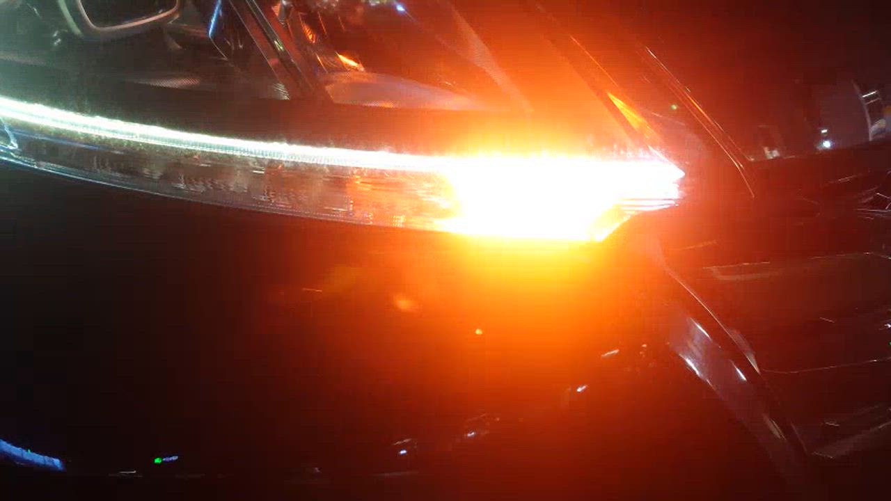全体のレビュー動画のサムネイル | 2