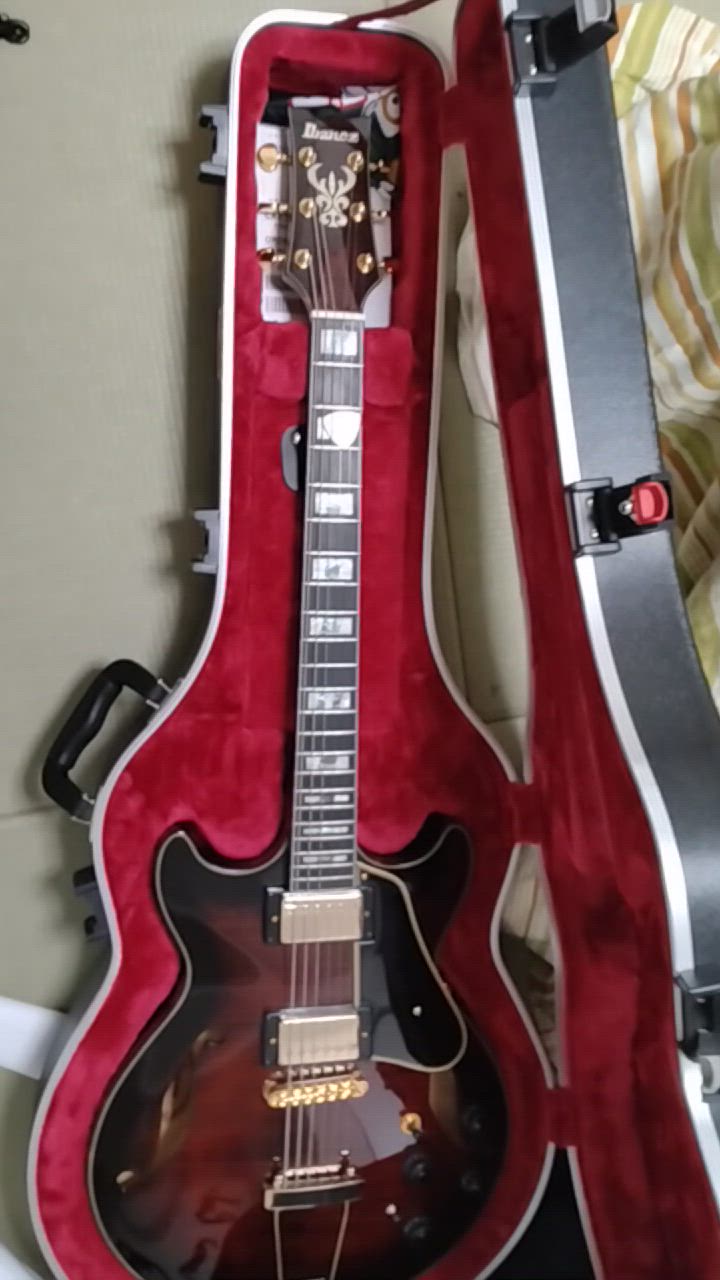 Ibanez IBANEZ アイバニーズ AMH100FM-DVS ARTSTAR Series Dark