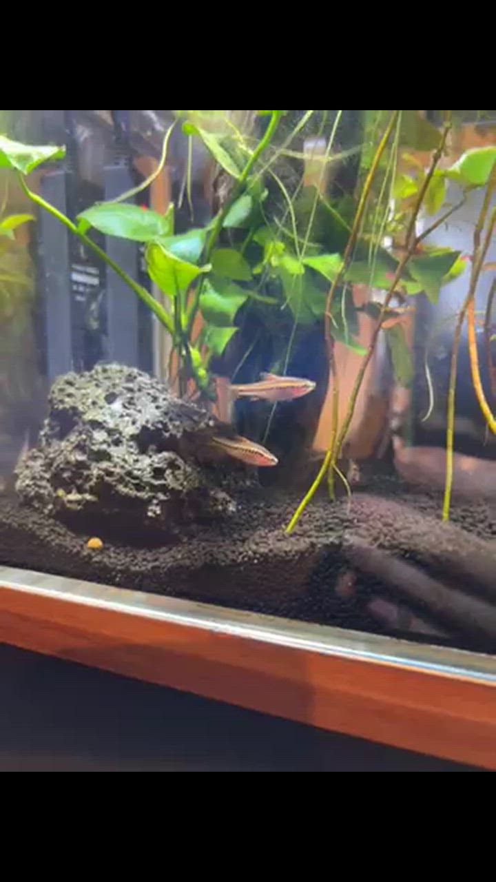 全体のレビュー動画のサムネイル | 0