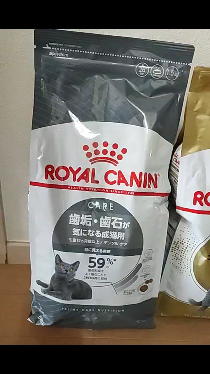 1件目のレビュー動画のサムネイル | 0