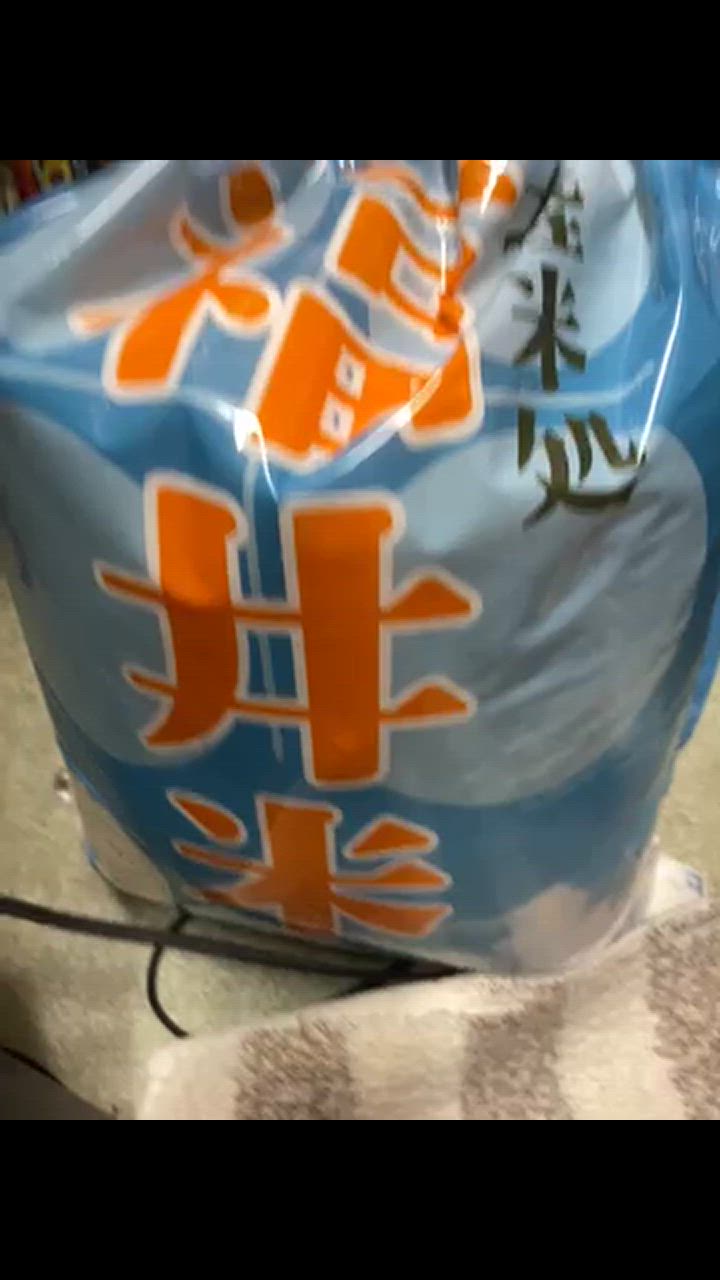 全体のレビュー動画のサムネイル | 4