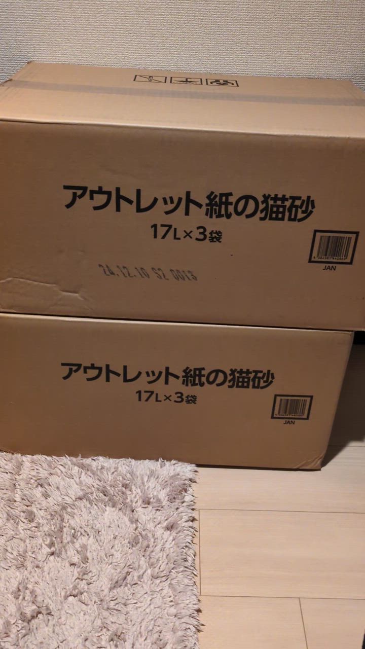 全体のレビュー動画のサムネイル | 13