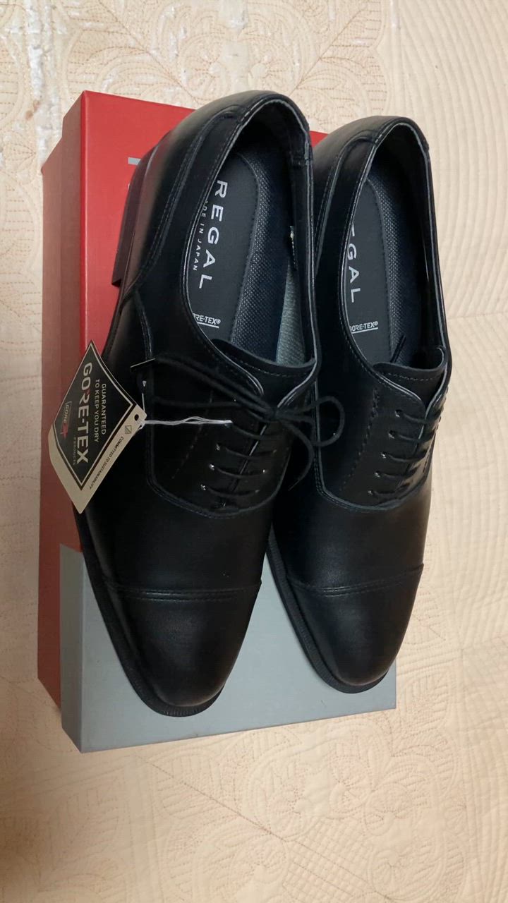 【極美品】REGAL ビジネスシューズ ストレートチップ 31BL 通勤 REGAL リーガル ビジネスシューズ ストレートチップ 35HRBB