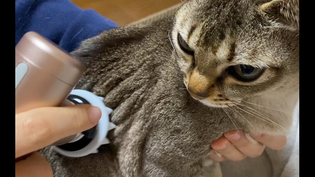 全体のレビュー動画のサムネイル | 17